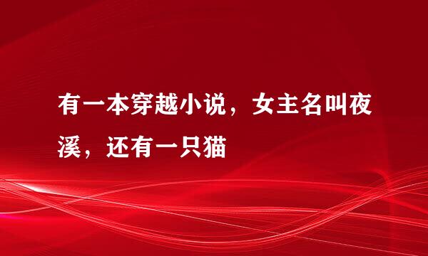 有一本穿越小说，女主名叫夜溪，还有一只猫