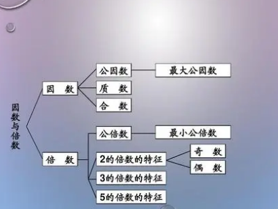 怎么算36的因数？