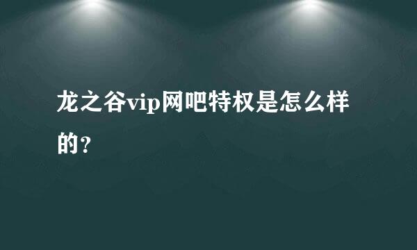 龙之谷vip网吧特权是怎么样的？