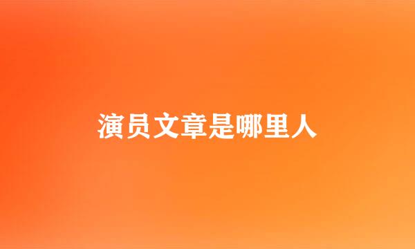 演员文章是哪里人