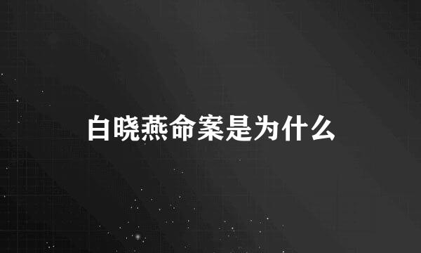 白晓燕命案是为什么