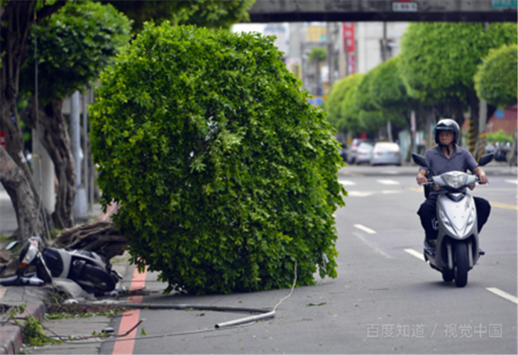 19号超强台风“海贝思”袭击日本，应对超强台风应做好哪些准备？