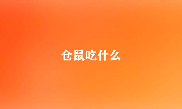 仓鼠吃什么