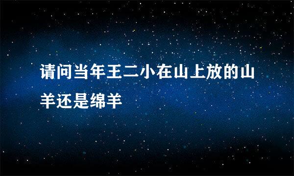 请问当年王二小在山上放的山羊还是绵羊