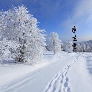 《半生雪》歌词是什么？