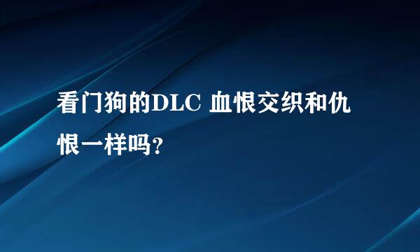 看门狗的DLC 血恨交织和仇恨一样吗？