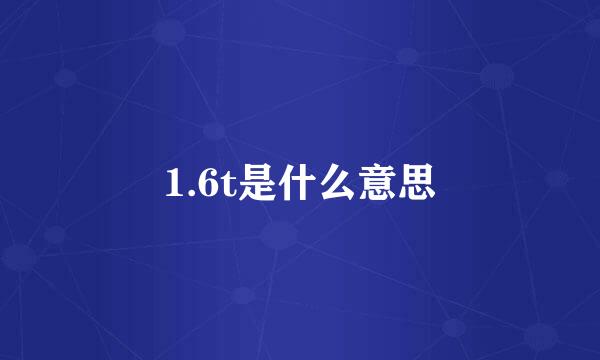 1.6t是什么意思