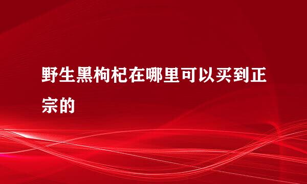 野生黑枸杞在哪里可以买到正宗的