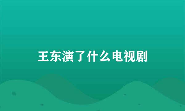 王东演了什么电视剧