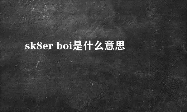 sk8er boi是什么意思