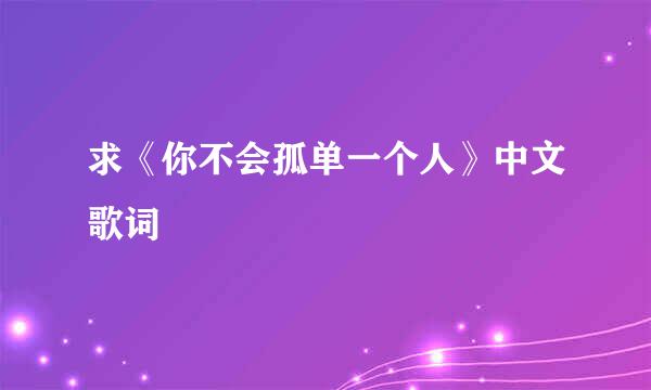 求《你不会孤单一个人》中文歌词