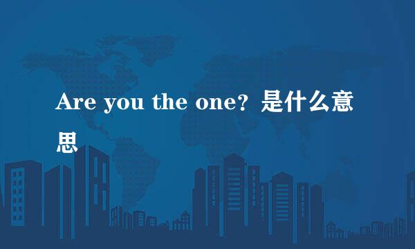 Are you the one？是什么意思