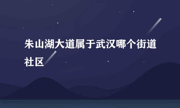 朱山湖大道属于武汉哪个街道社区