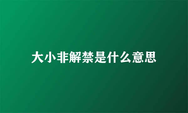 大小非解禁是什么意思