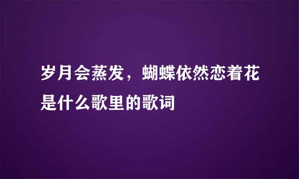 岁月会蒸发，蝴蝶依然恋着花是什么歌里的歌词