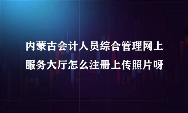 内蒙古会计人员综合管理网上服务大厅怎么注册上传照片呀