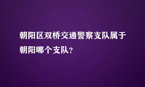 朝阳区双桥交通警察支队属于朝阳哪个支队？