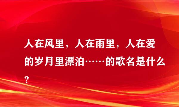 人在风里，人在雨里，人在爱的岁月里漂泊……的歌名是什么？