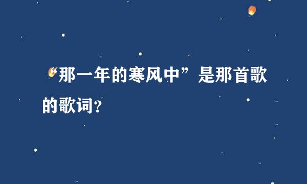 “那一年的寒风中”是那首歌的歌词？