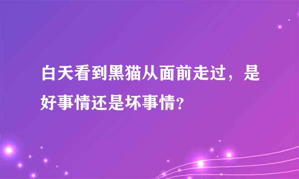 白天看到黑猫从面前走过，是好事情还是坏事情？