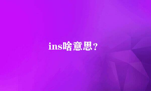 ins啥意思？