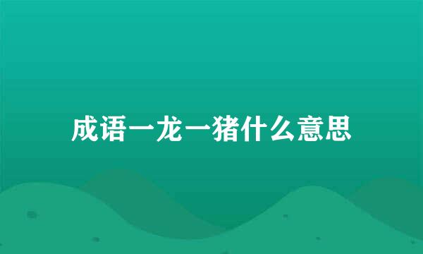 成语一龙一猪什么意思