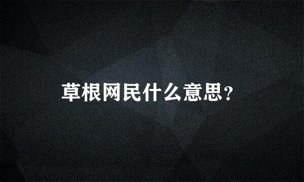 草根网民什么意思？