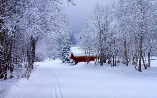 关于雪的诗句