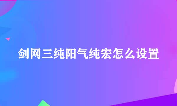 剑网三纯阳气纯宏怎么设置