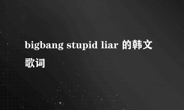 bigbang stupid liar 的韩文歌词