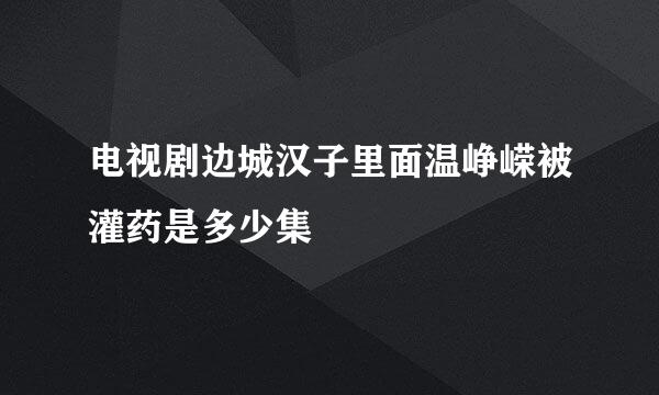 电视剧边城汉子里面温峥嵘被灌药是多少集