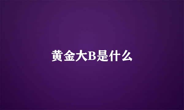 黄金大B是什么