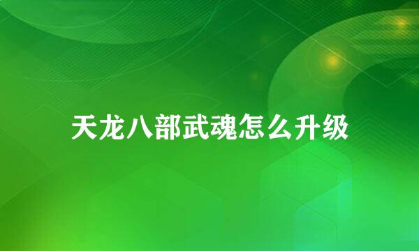 天龙八部武魂怎么升级