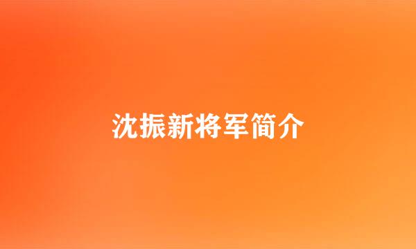 沈振新将军简介