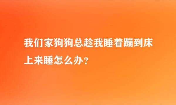 我们家狗狗总趁我睡着蹦到床上来睡怎么办？