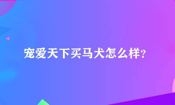 宠爱天下买马犬怎么样？