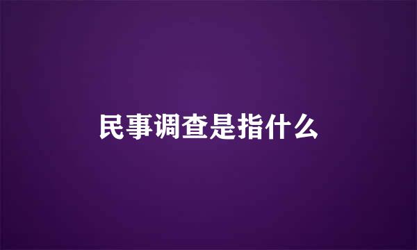 民事调查是指什么