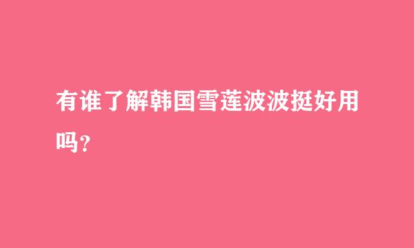 有谁了解韩国雪莲波波挺好用吗？