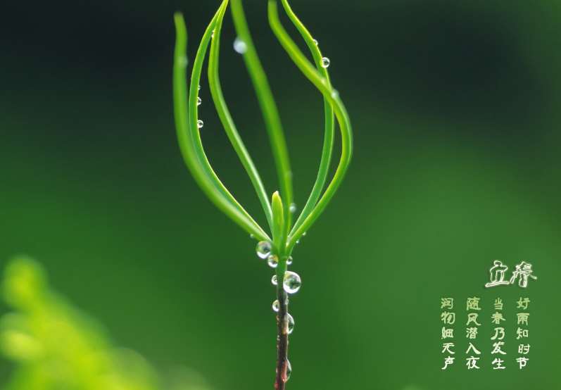 24节气歌，春雨惊春清谷天，夏满芒夏暑相连，秋处露秋寒霜降，冬雪雪冬小大寒。