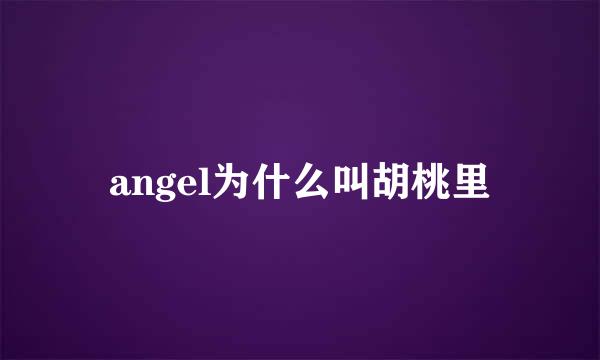 angel为什么叫胡桃里