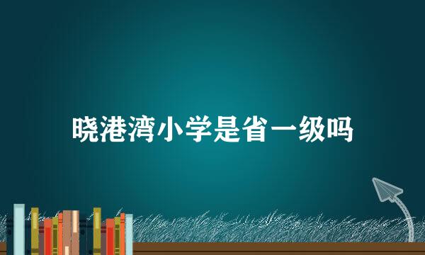 晓港湾小学是省一级吗