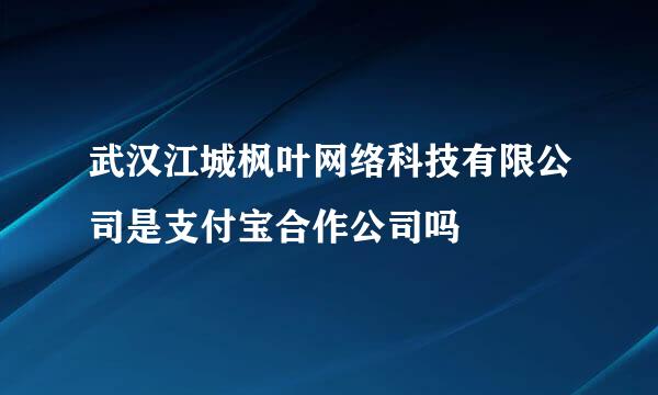 武汉江城枫叶网络科技有限公司是支付宝合作公司吗