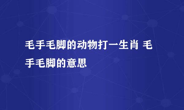 毛手毛脚的动物打一生肖 毛手毛脚的意思