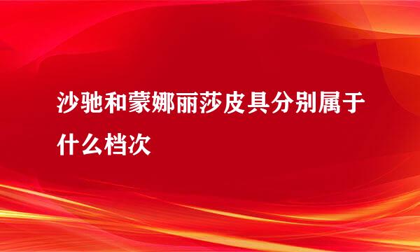 沙驰和蒙娜丽莎皮具分别属于什么档次