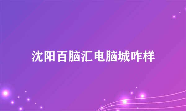 沈阳百脑汇电脑城咋样