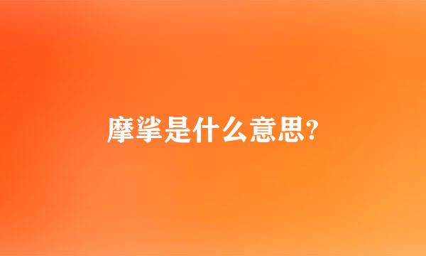 摩挲是什么意思?