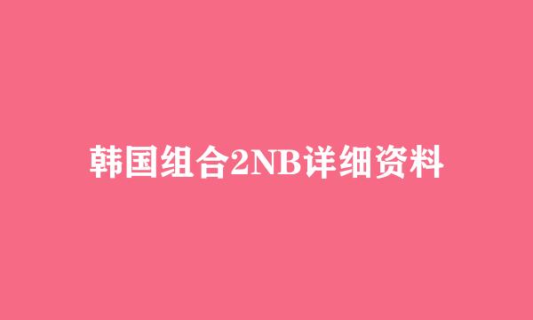 韩国组合2NB详细资料