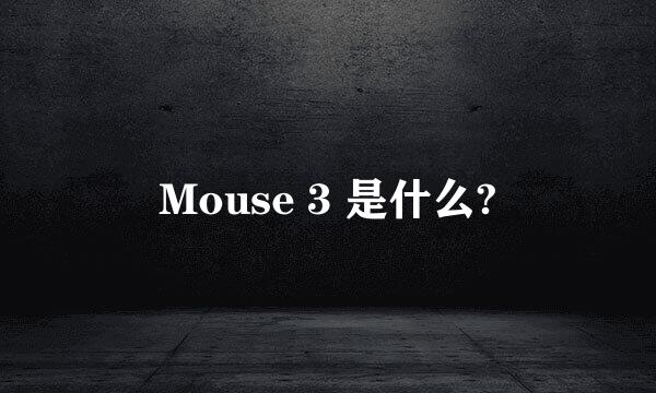 Mouse 3 是什么?