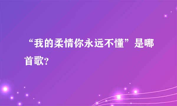 “我的柔情你永远不懂”是哪首歌？