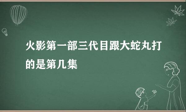 火影第一部三代目跟大蛇丸打的是第几集